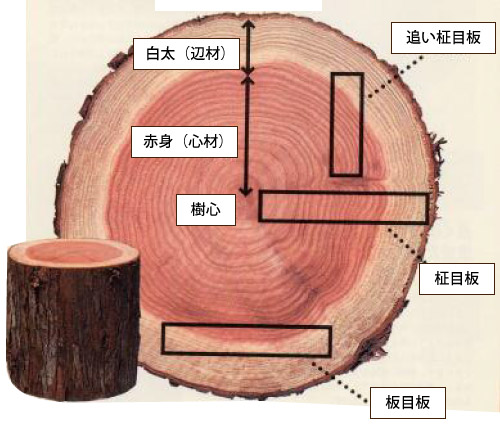 三連時計の木のお話 2 木材の基礎知識 木の暮らし公式ブログ