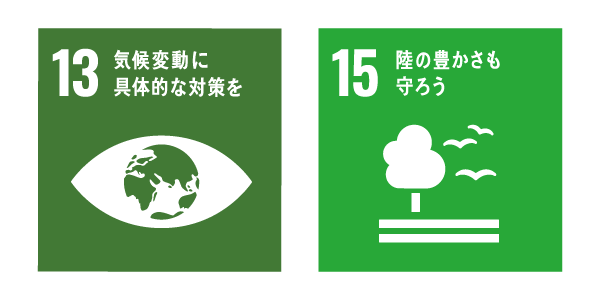 【13】気候変動に具体的な対策を、【15】陸の豊かさも守ろう