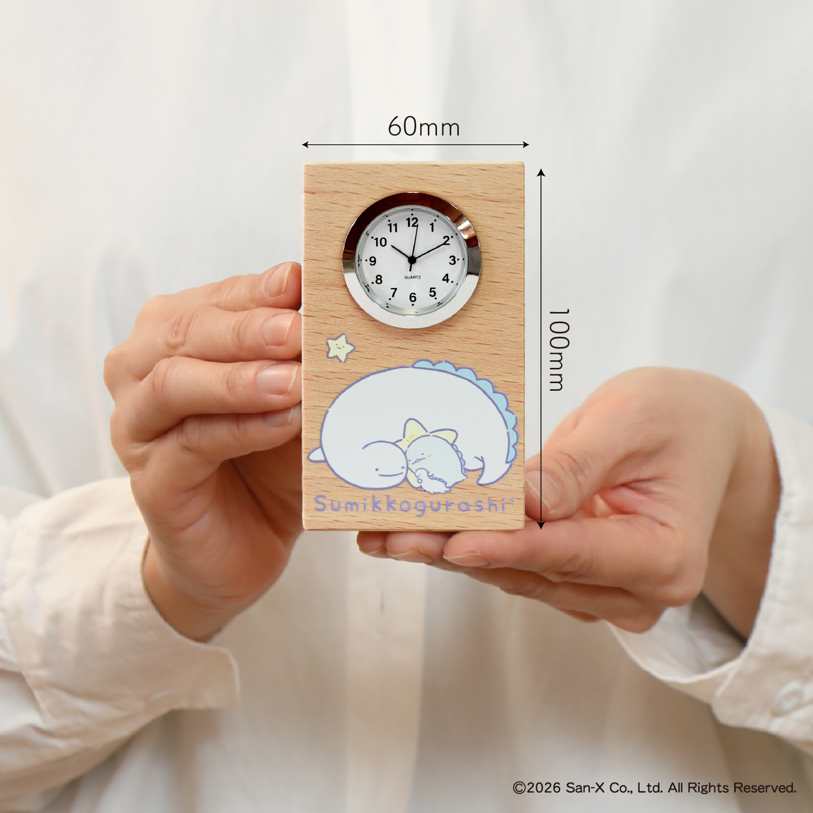 すみっコぐらし（とかげとおかあさん）【GK220SG】 詳細画像1